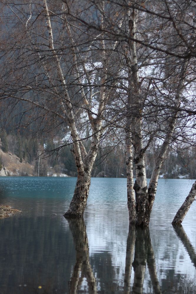 Photograph by Катерина