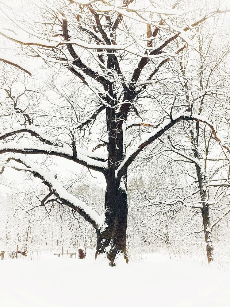 Photograph by Ксения