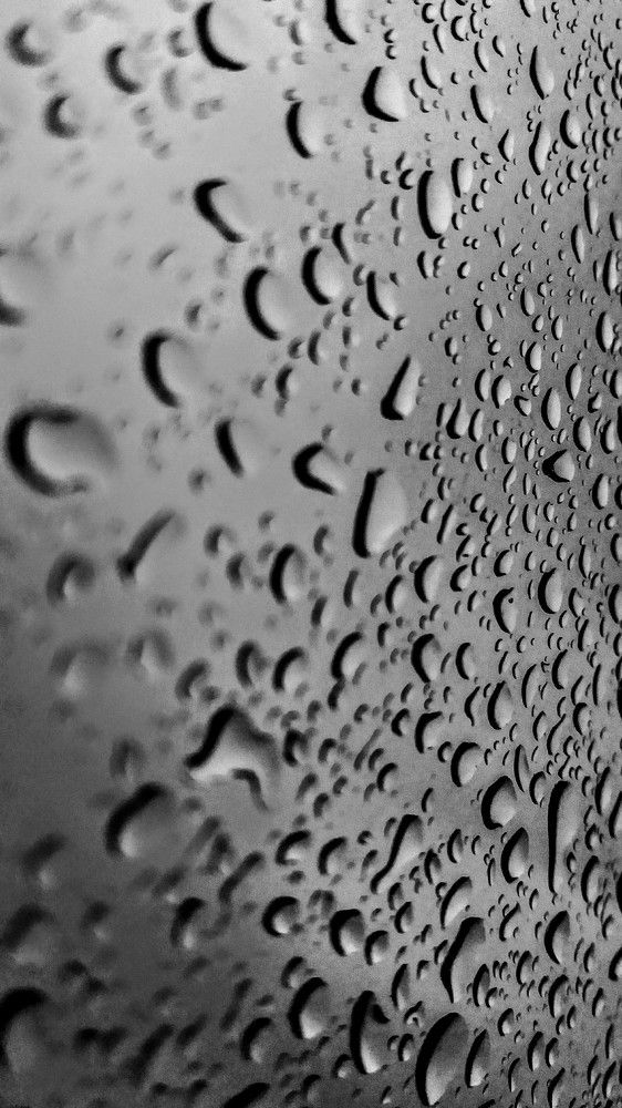 Photograph by Viana Vaseqi