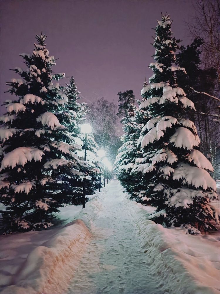 Photograph by Ксения