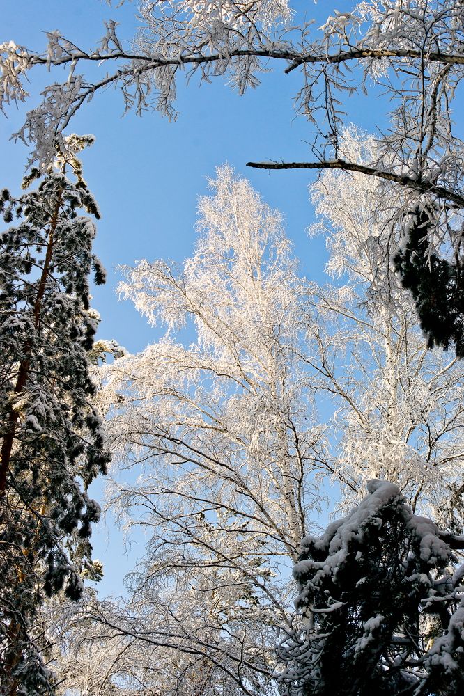 Photograph by Анатолий Стафичук