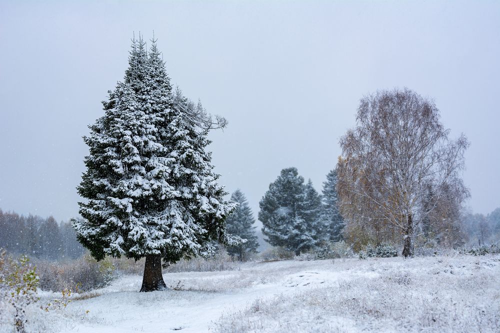 Photograph by Сергей