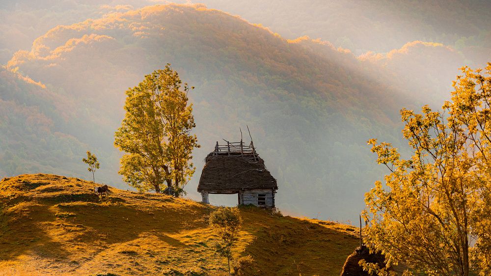 Photograph by Arcu Catalin