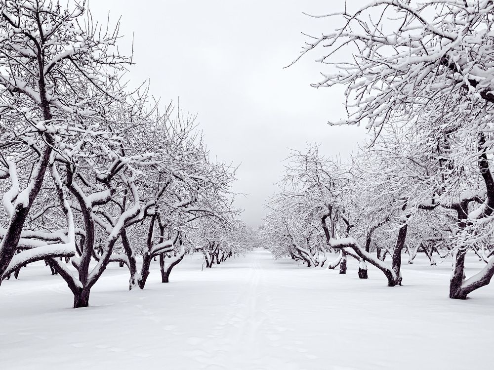 Photograph by Никита Борзов