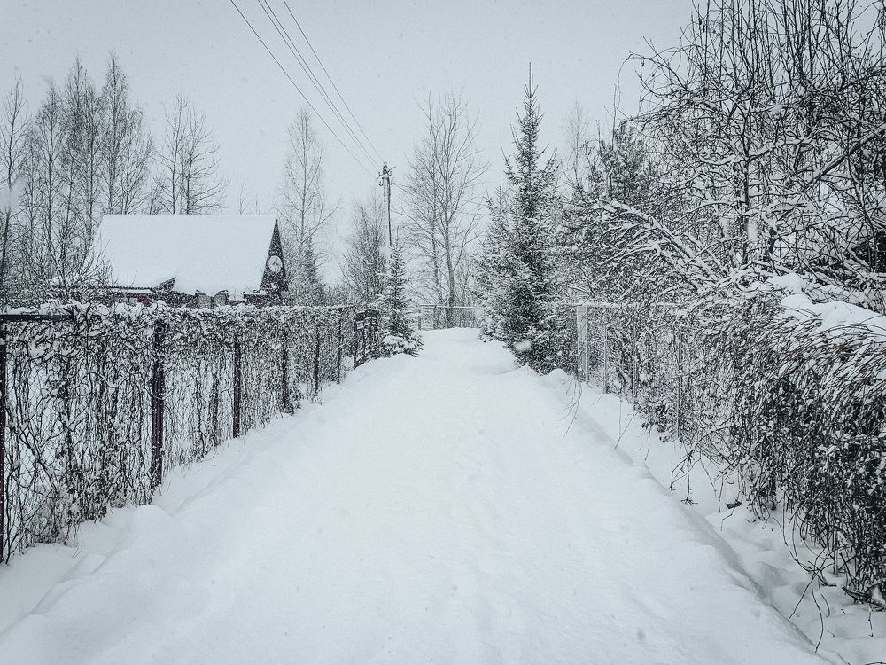 Photograph by Никита Борзов