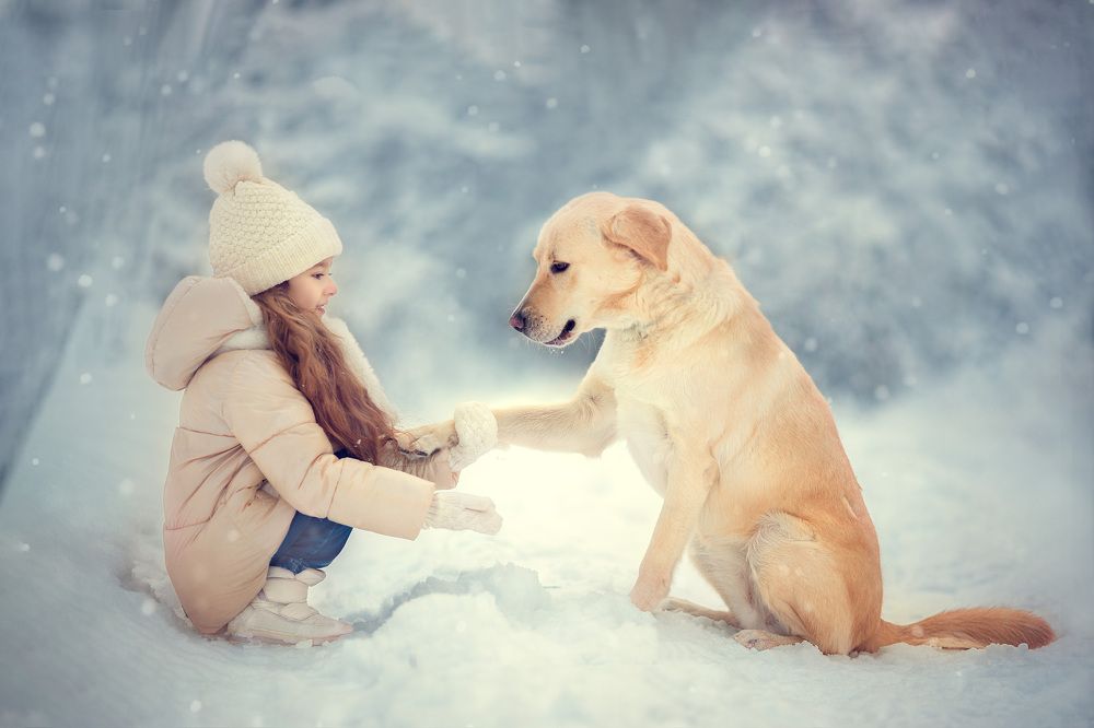 Photograph by Татьяна Шурнова