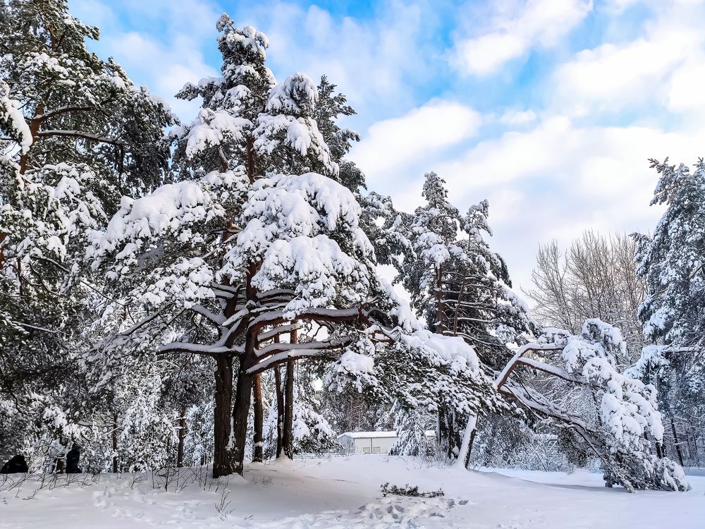 Photograph by Ivars Andrups