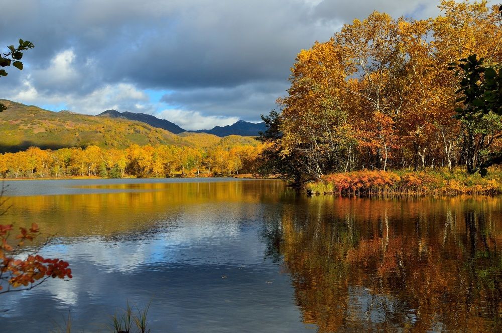 На озере осень