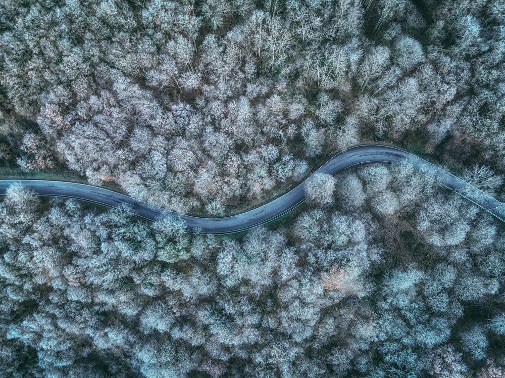 Photograph by Guy Krier