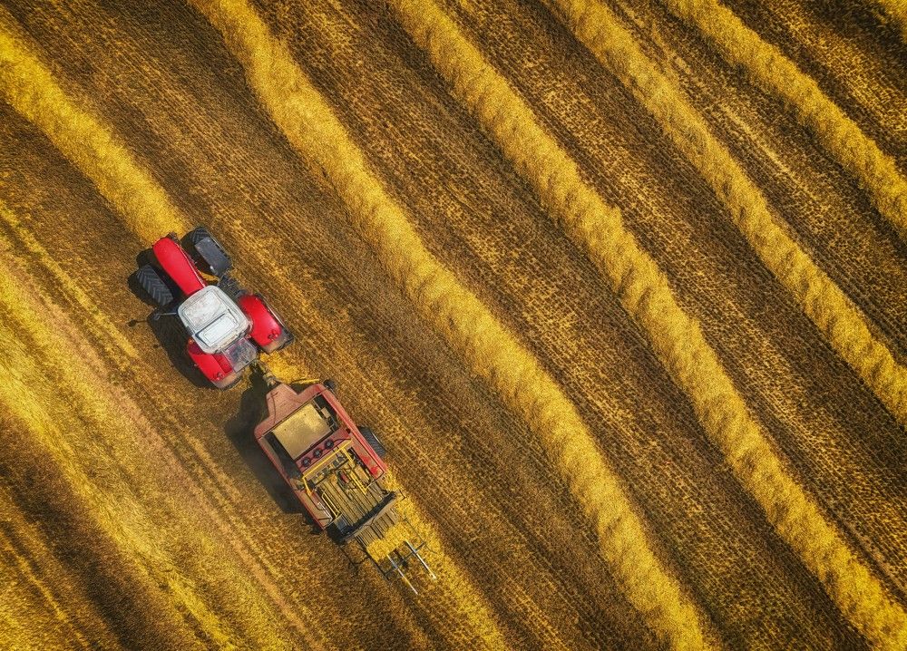 Photograph by Guy Krier