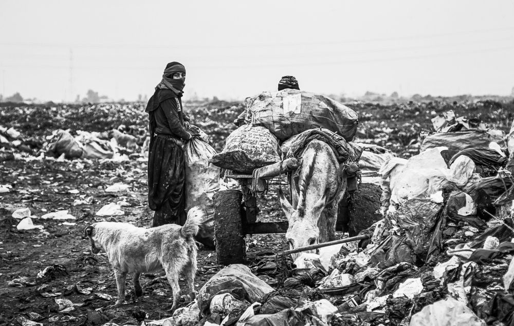 Photograph by karrar alaa