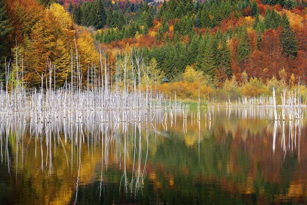 Photograph by Tudor Ghioc