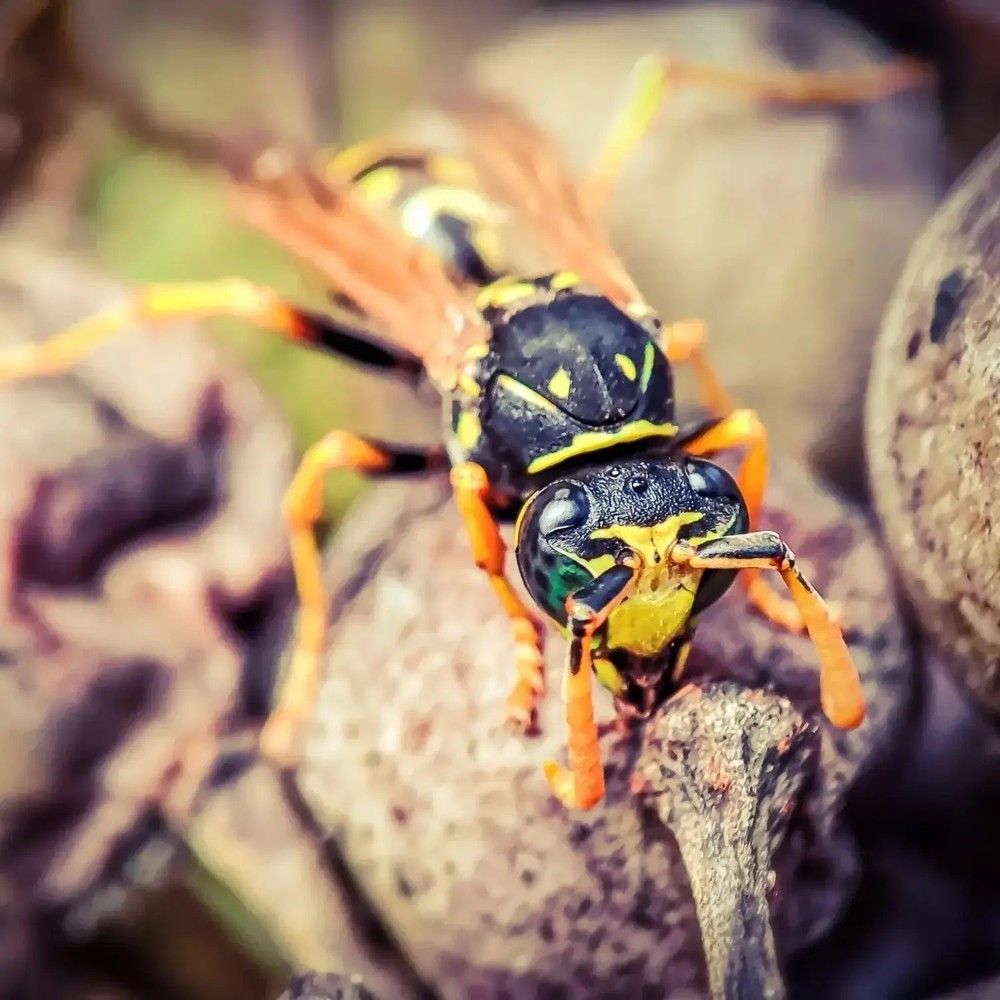 Photograph by Николай Яковлев