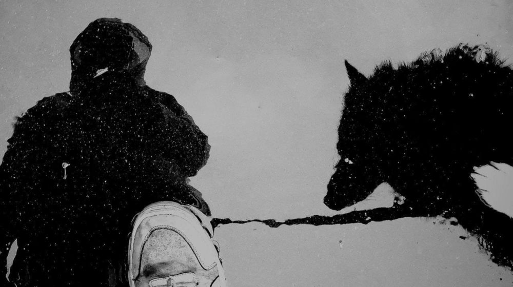 Photograph by Валерия Горелова