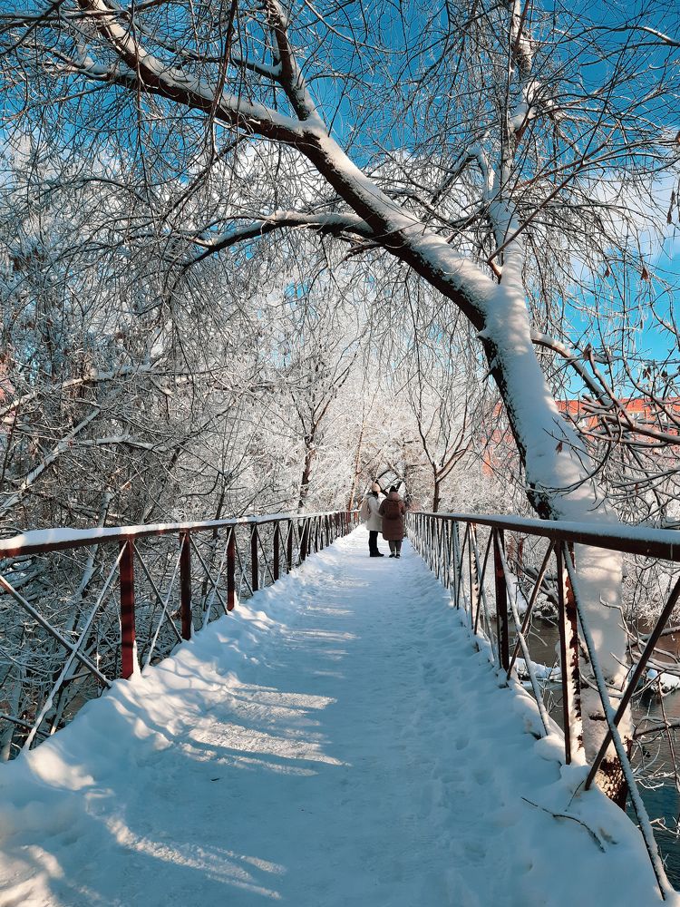 Фотография автора Ольга Кунакова