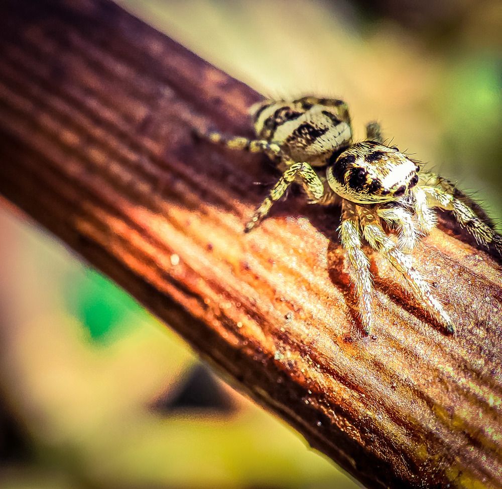 Photograph by Николай Яковлев