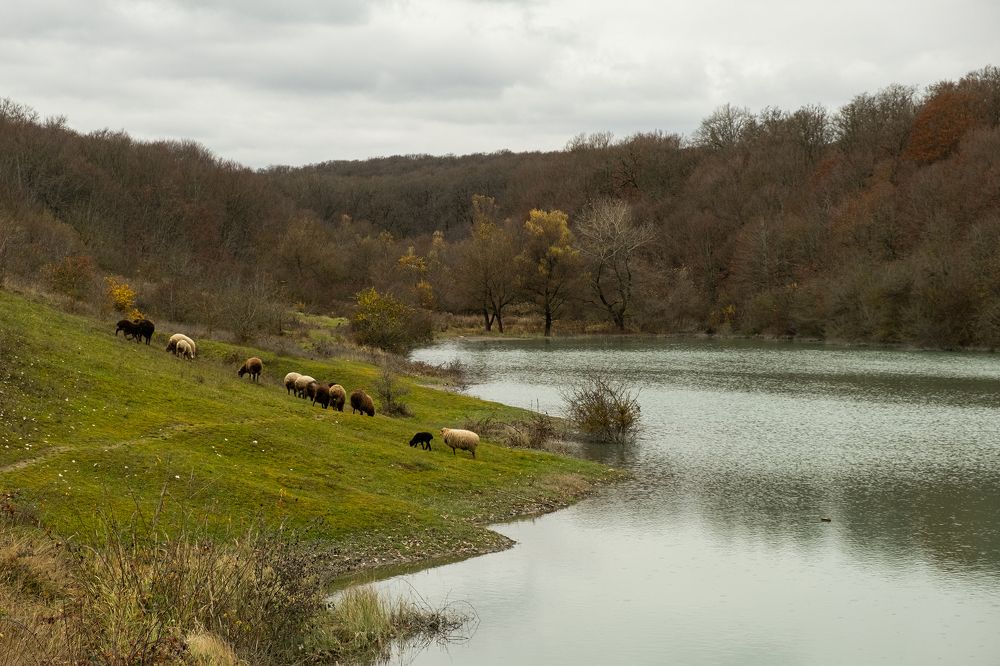 Фотография автора Javid Hashimov