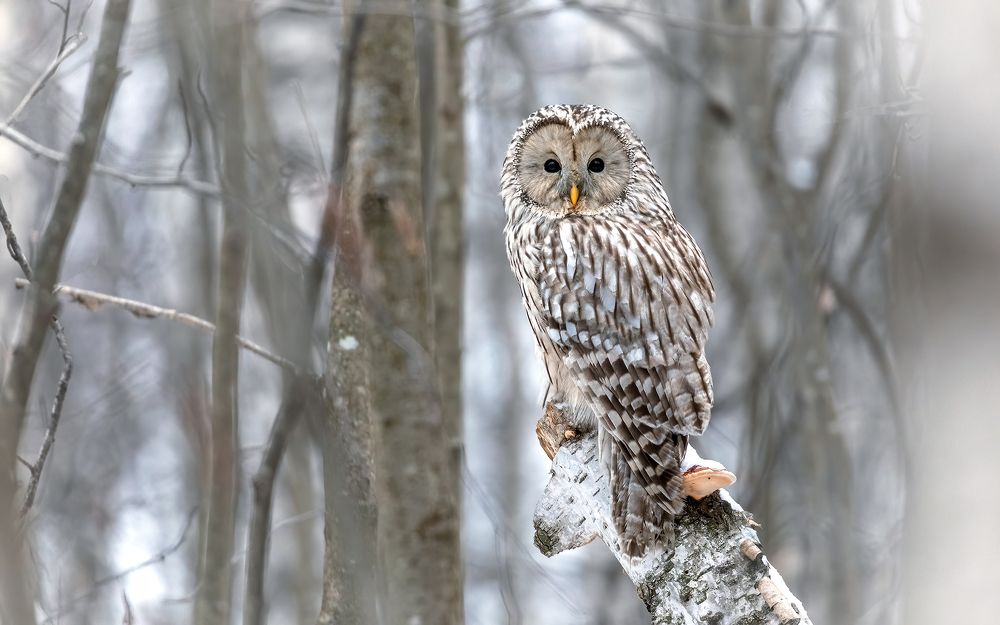 Глаза в глаза.