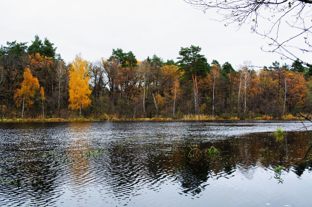 Фотография автора Максим Штормов