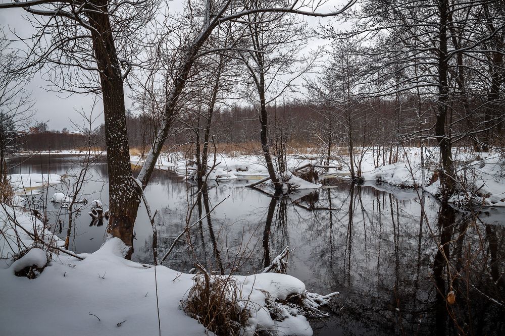 Photograph by Алексей Трифонов