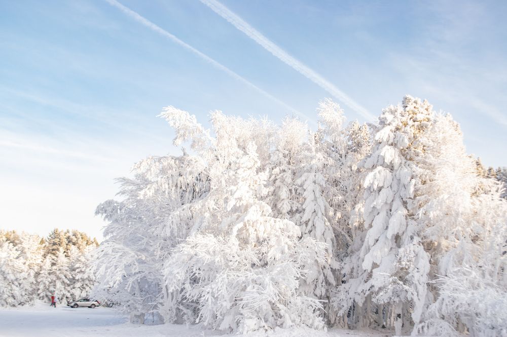 Photograph by Светлана Дмитриева