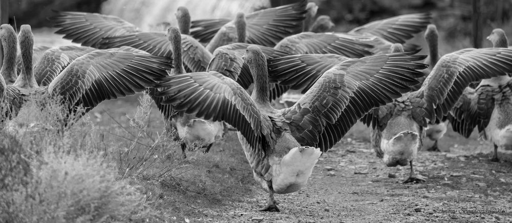 Photograph by Андрей Бондаренко