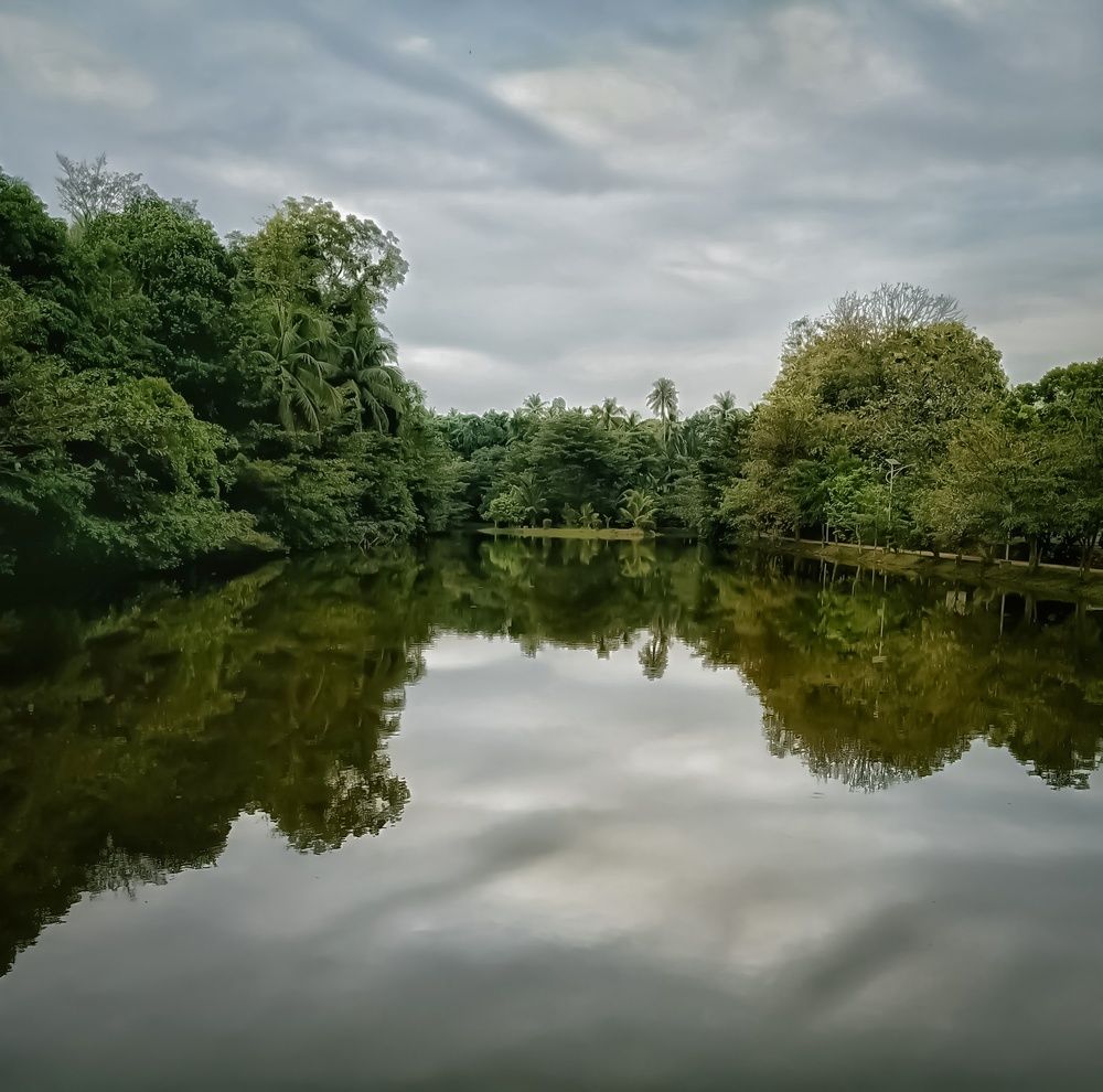 Photograph by Thimira dinisuru