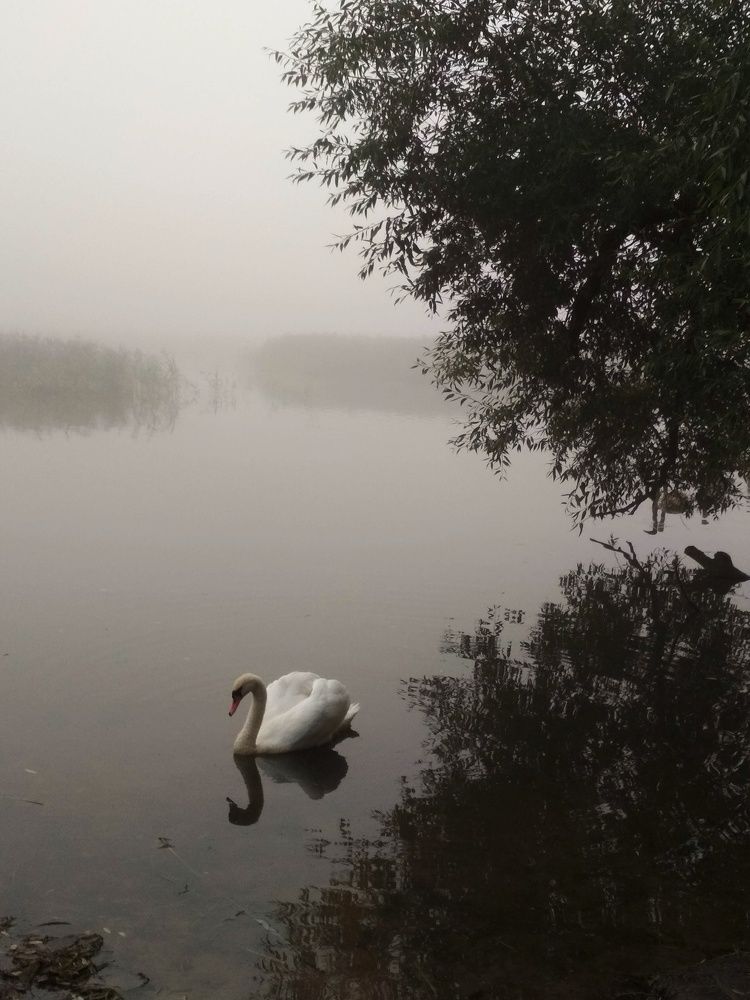 Photograph by Татьяна Якшук