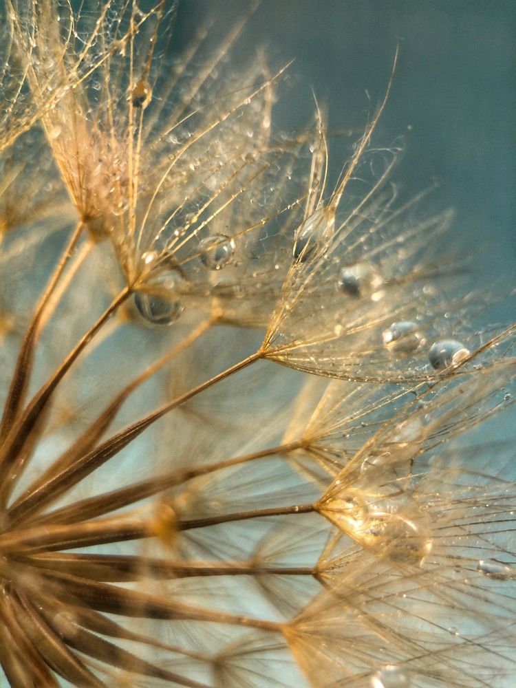 Photograph by Светлана Дмитриева