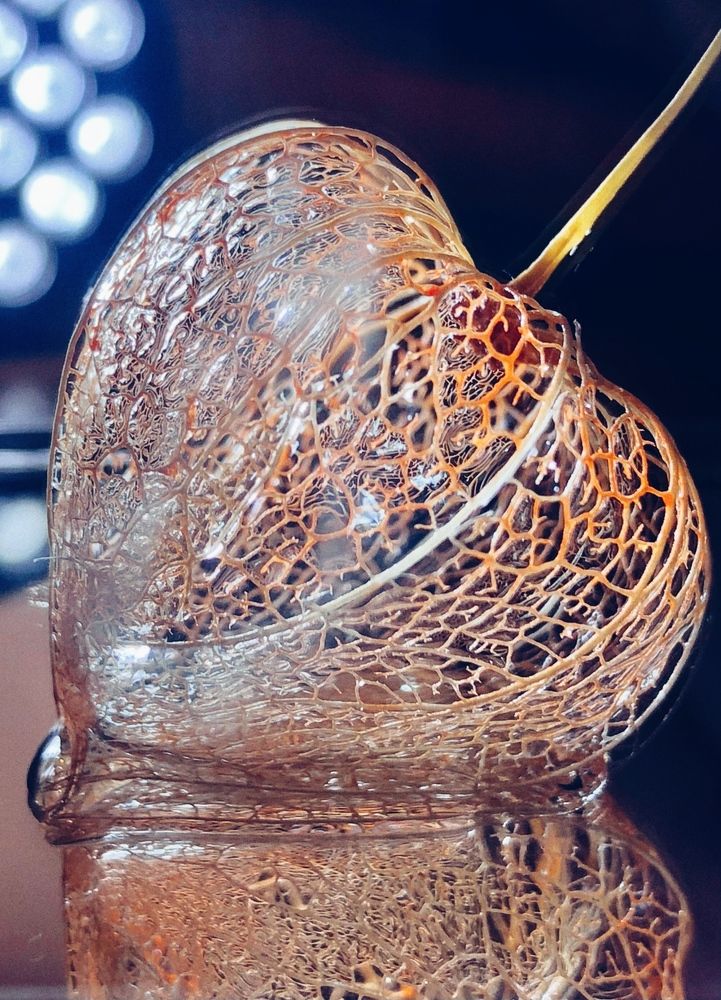 Photograph by Светлана Дмитриева