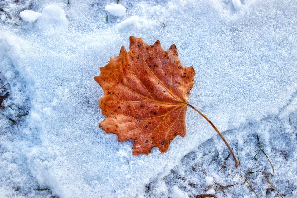 Photograph by Оксана