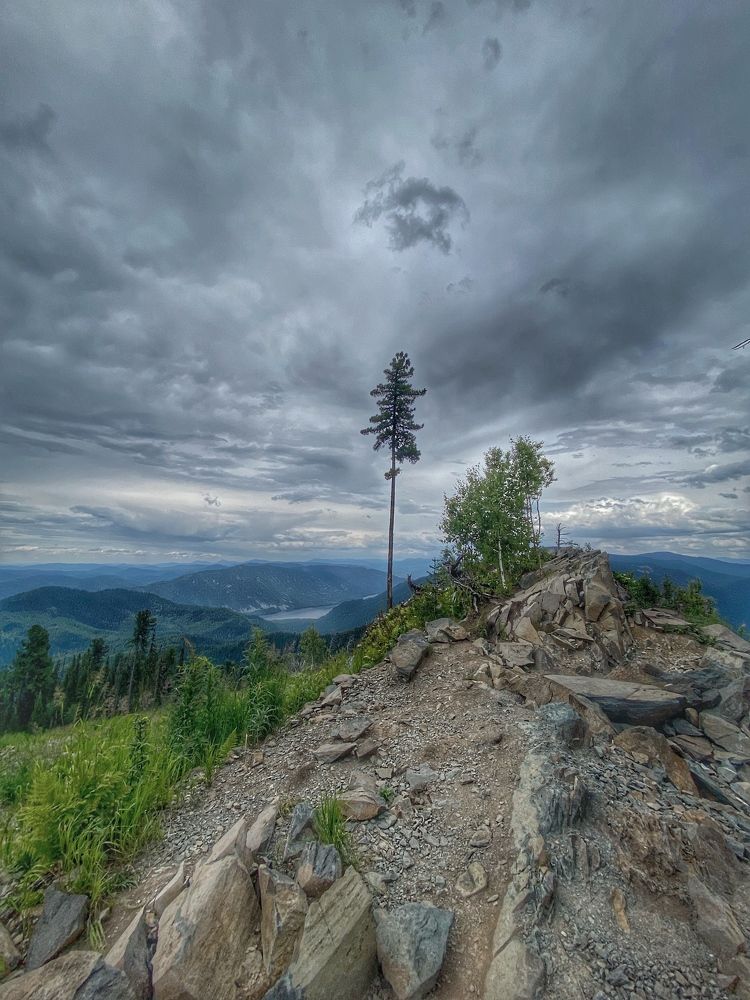 Photograph by Светлана Дмитриева