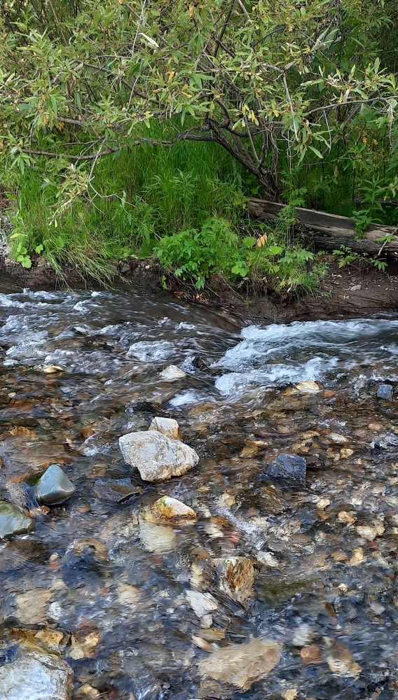 Photograph by Оксана