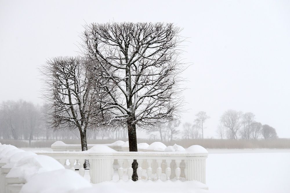 Зимняя терраса