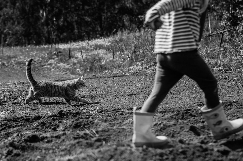 Photograph by Анастасия Макеева