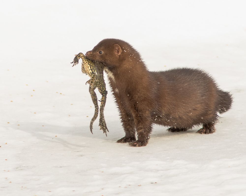 Фотография автора Суслов Дмитрий