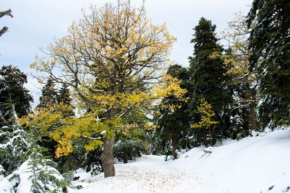 Photograph by bilal bilal