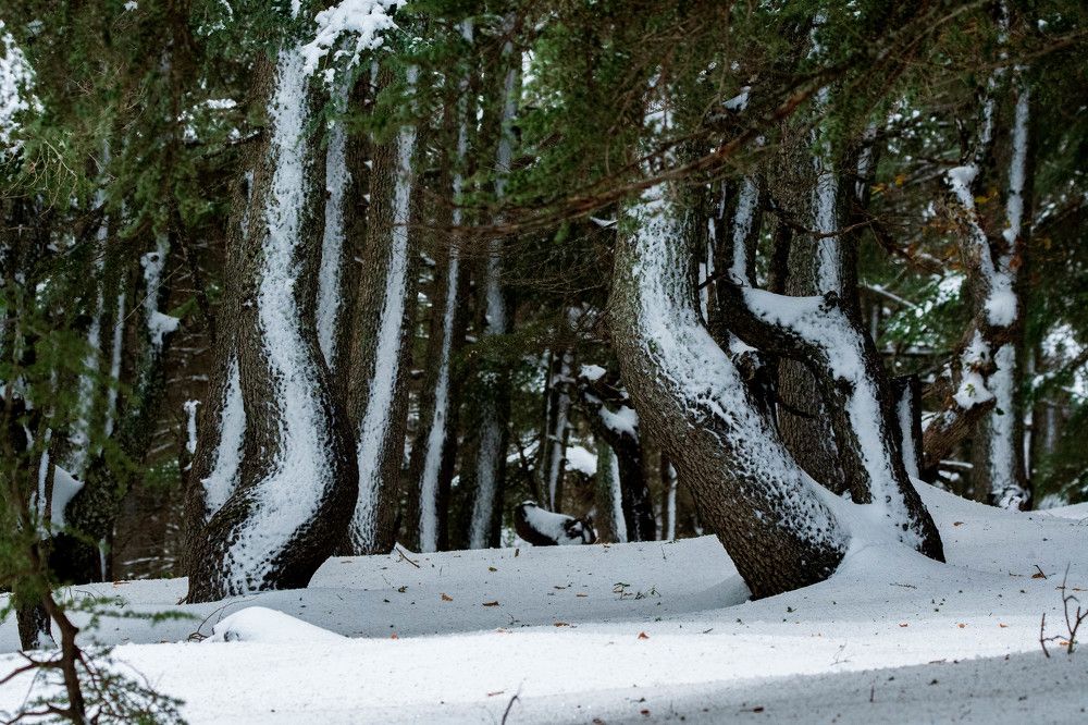 Photograph by bilal bilal