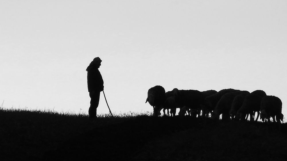 Photograph by bilal bilal