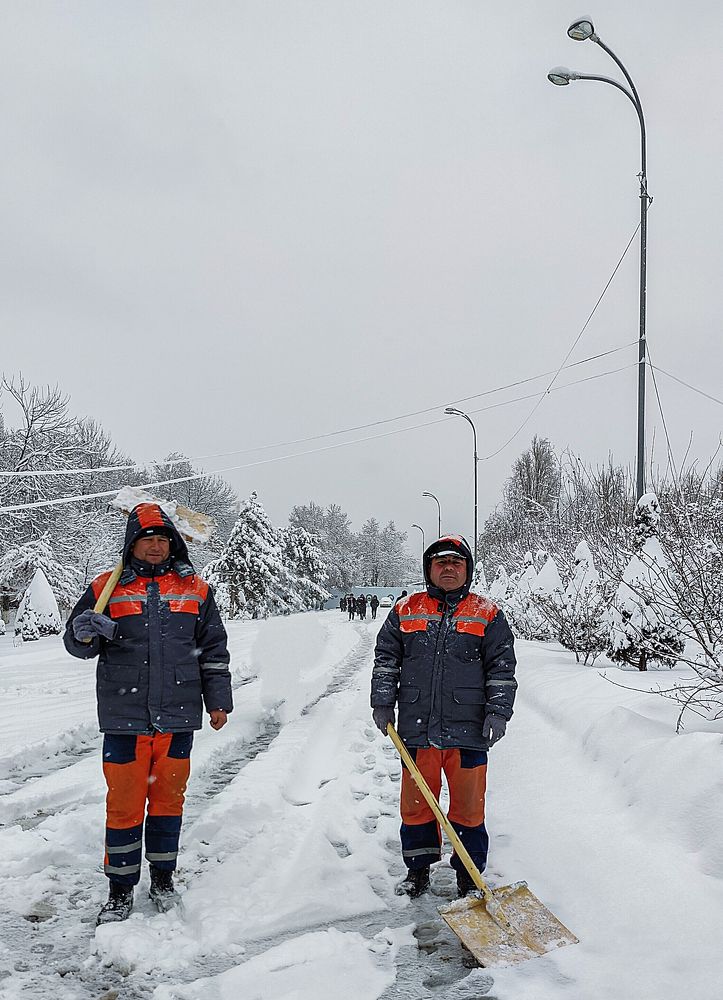 Photograph by Irina Grass