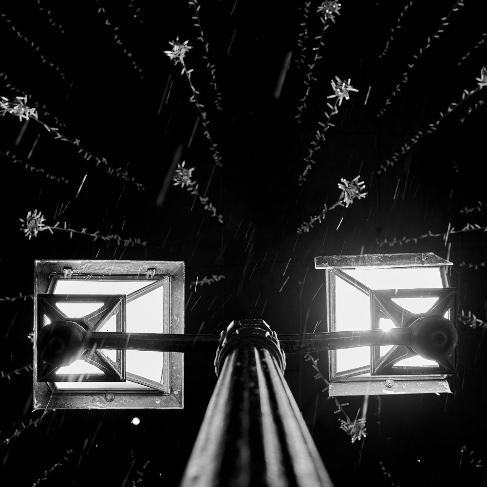 Photograph by Boris Nesh