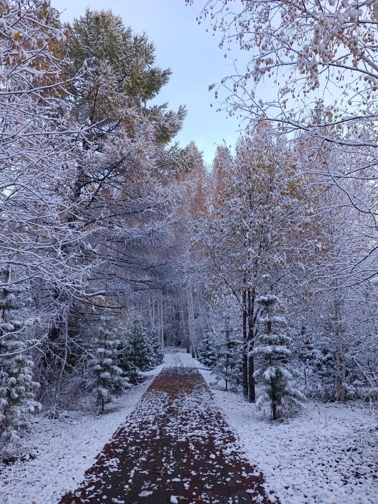 Photograph by Татьяна Cамсонова