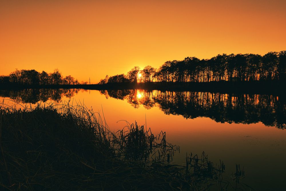 Photograph by Ковалёв Игорь