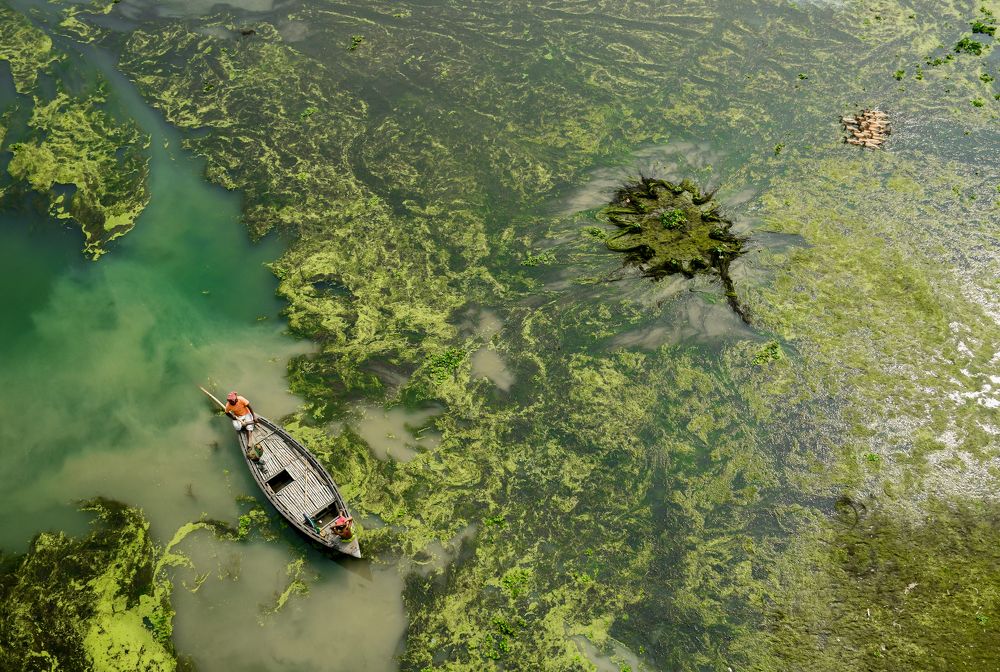 Photograph by Prince Paul Joy