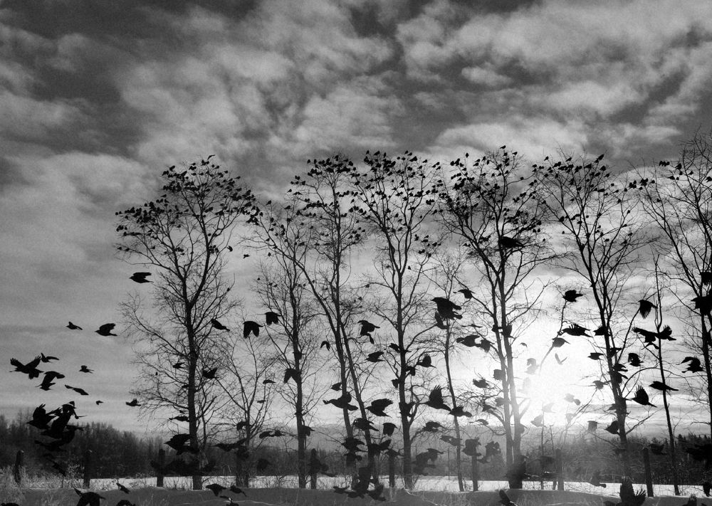 Фотография автора Андрей Богданов