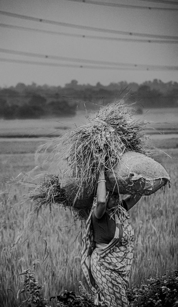 Photograph by Deeptesh Ghosh