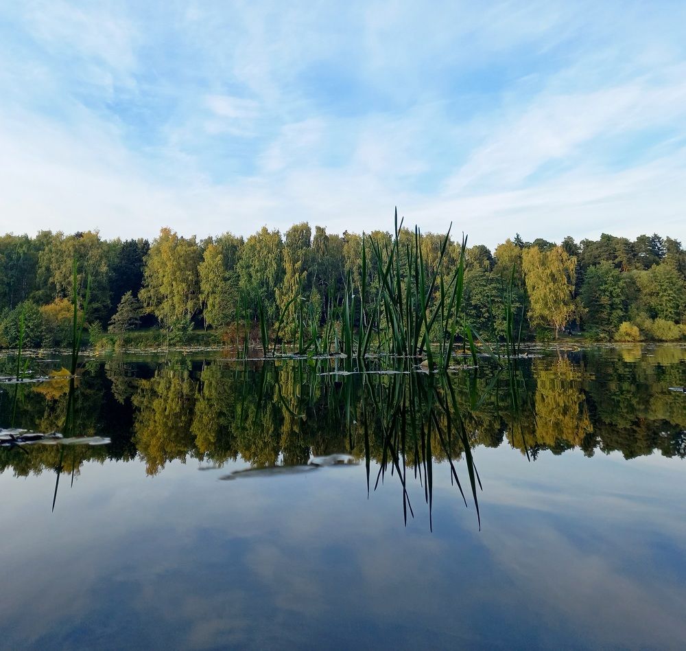 Photograph by Анна Шепелева