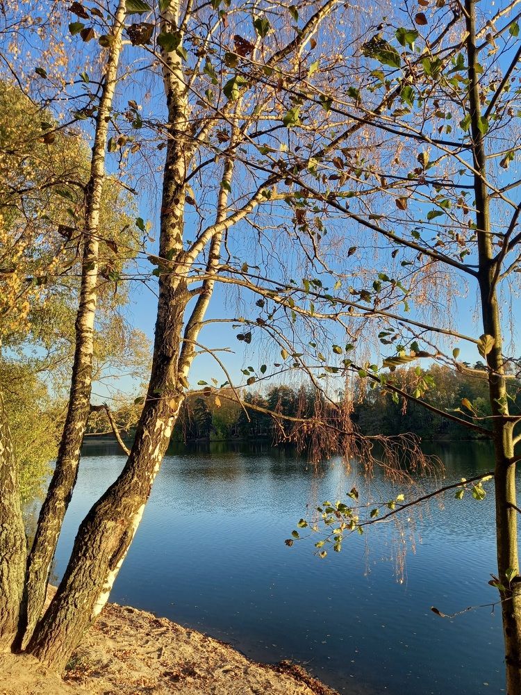 Photograph by Анна Шепелева