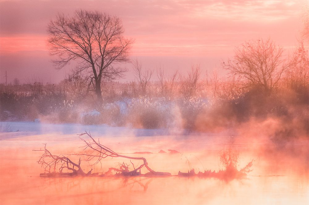 Photograph by Илья Толстоноженко