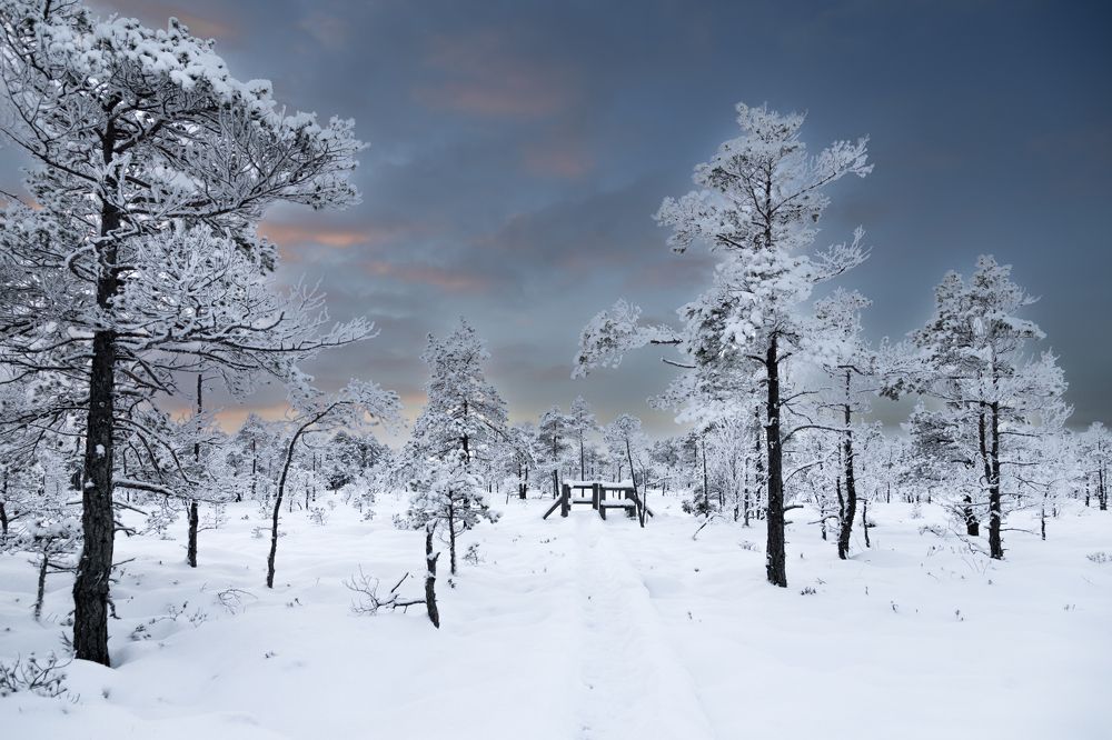 Photograph by Rolandas Valančauskas